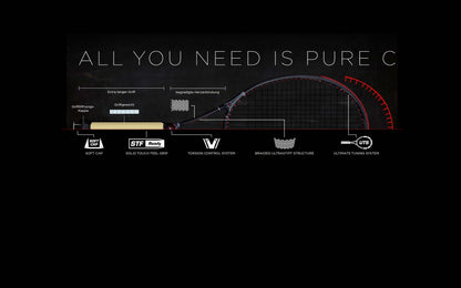 Topspin Tennis Racket Pure CS1 280g